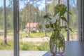 Cloves and field daisies in a glass vase on a beautiful background