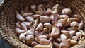 Cloves of garlic An important ingredient of Thai food. garlic. Royalty Free Stock Photo