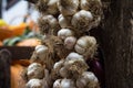 Cloves of garlic on a rope