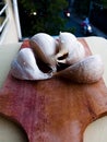 4 cloves of garlic sitting on a small wooden tray, with a blurred or abstract background