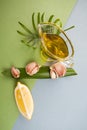 Cloves of garlic, slices of lemon and olive oil on blue-green te Royalty Free Stock Photo