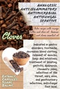 Cloves herbalist notebook page idea