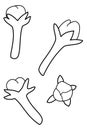 Cloves icon outline - four pieces