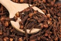 Cloves (spice) and wooden spoon close-up food background