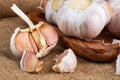 Cloves and Whole bulb of garlic with scattered cloves close up. Selective forus Royalty Free Stock Photo