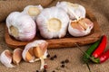 Cloves and Whole bulb of garlic with scattered cloves close up. Selective forus Royalty Free Stock Photo