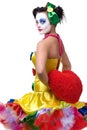 Clown Royalty Free Stock Photo