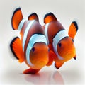 Clown anemonefish (Amphiprion percula). Generative AI