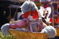 Clown in a Basket