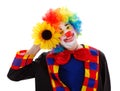 Clown with big yellow flower Royalty Free Stock Photo