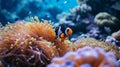 clown fish coral reef macro underwater scene, view of coral fish. Generative Ai Royalty Free Stock Photo