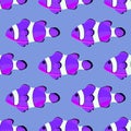 Clown fish seamless pattern. Amphiprioninae wallpaper on Royalty Free Stock Photo