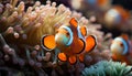 Clown fish swimming in vibrant reef, underwater beauty in nature generated by AI Royalty Free Stock Photo