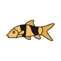 clown loach fish icon design template vector illustration