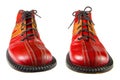 Clown Shoes Royalty Free Stock Photo