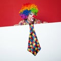 Clown with tie on blank white board Royalty Free Stock Photo