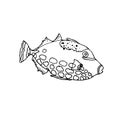 Clown trigger fish. Hand drawing sketch. Black outline on white background. Vector illustration. EPS10 Royalty Free Stock Photo