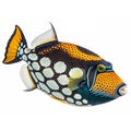 A clown triggerfish with bright patterns Royalty Free Stock Photo
