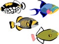 Clown triggerfish Royalty Free Stock Photo