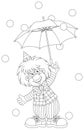 Clown with an umbrella