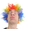 Clown Wig