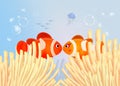 Clownfish in anemone