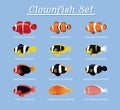 Clownfish Anemonefish Set Cartoon Vector Illustration Royalty Free Stock Photo