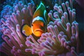 Clownfish in anemones Royalty Free Stock Photo