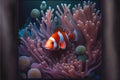 Clownfish in anemones coral anemone