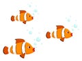 Clownfish family swimming. Cartoon fish shoal in water