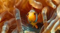 Clownfish peeking from anemone home in symbiotic relationship ai image Royalty Free Stock Photo