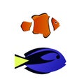Clownfish and Surgeonfish Vector Royalty Free Stock Photo
