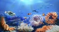 Clownfish swimming among sea anemones.