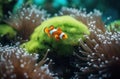 clownfish swimming in a vibrant coral reef. Generative AI