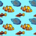 Clownfish, Variatus Platy, Dwarf gourami