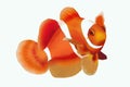 Clownfish on white background