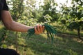 Clse up photo of young farmer`s hand with green rubber garters, apple garden on the background