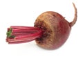 Fresh Beet over white background