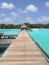 Club Med Kani, long pier surrounded by emerald sea, with huts in distance.
