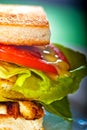 Club sandwich Royalty Free Stock Photo