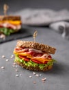 Club sandwich on a board with a bacon, cheese, tomato and lettuce on a dark background Royalty Free Stock Photo