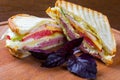 Club sandwich , clubhouse sandwich Royalty Free Stock Photo