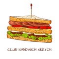 Club sandwich colored sketch. VECTOR sketch. Brown contour lines