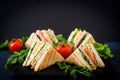 Club sandwich with ham, bacon, tomato, cucumber, cheese, eggs and herbs Royalty Free Stock Photo