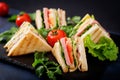 Club sandwich with ham, bacon, tomato, cucumber, cheese, eggs and herbs Royalty Free Stock Photo