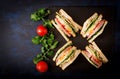 Club sandwich with ham, bacon, tomato, cucumber, cheese, eggs and herbs on dark background. Royalty Free Stock Photo