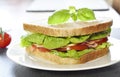 Club sandwich with ham and cheese Royalty Free Stock Photo