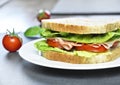 Club sandwich with ham and cheese Royalty Free Stock Photo