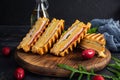 Club sandwich with ham, cheese, tomato and salad. Grilled sandwich with dried tomatoes bread Royalty Free Stock Photo