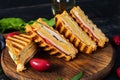 Club sandwich with ham, cheese, tomato and salad. Grilled sandwich with dried tomatoes bread Royalty Free Stock Photo